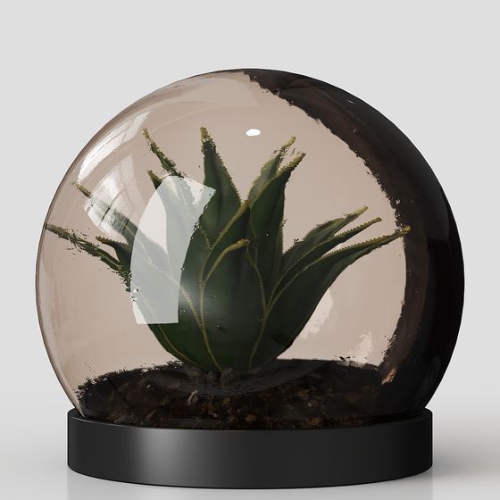 Cây bóng kính hiện đại