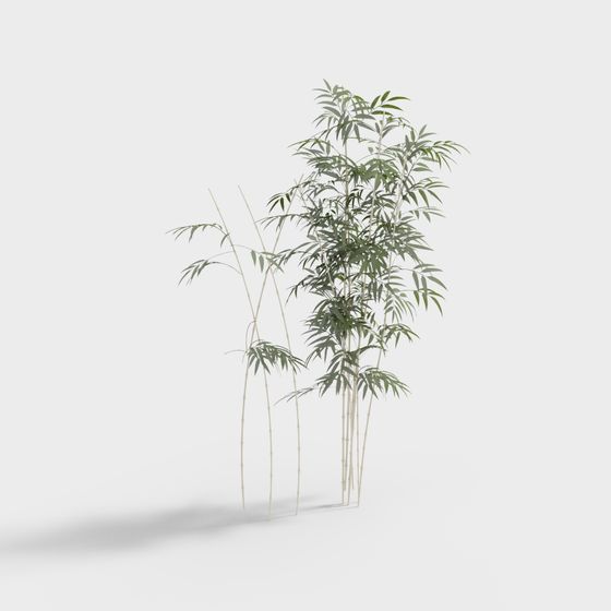 Serene Bamboo Forest 3D model