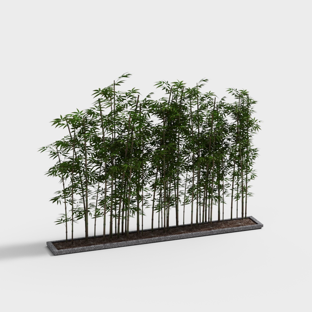 Modern Square Plants