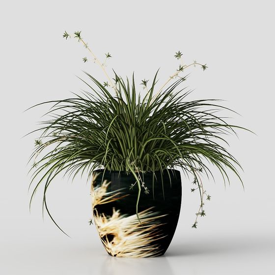 Realistic Indoor Plant 3D Model
