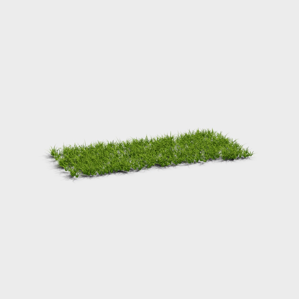 Lawn