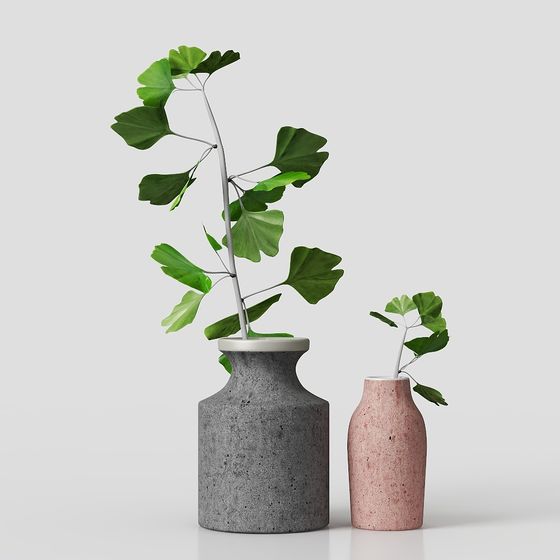 Piante verdi cremose