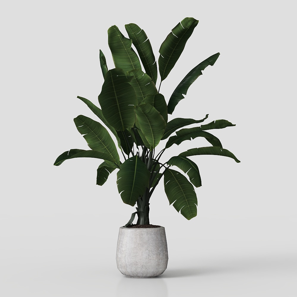 Low-Poly Banana Tree 3D Model – Tropical Green Foliage