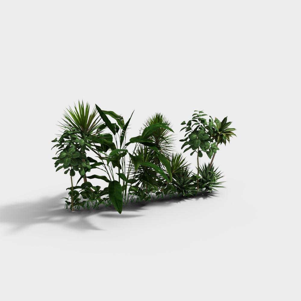 Struttura di piante moderne