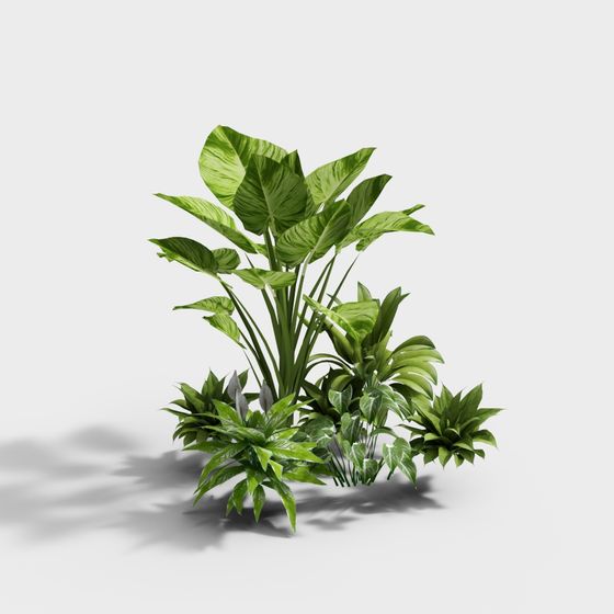Lively Tropical Plant Cluster 3D model for Creative Designs