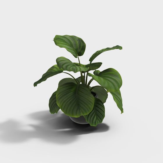 Stylish Indoor Plant 3D Model for Creative Projects
