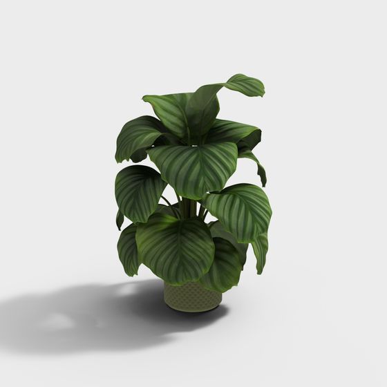 Lush Indoor Plant Pot 3D model