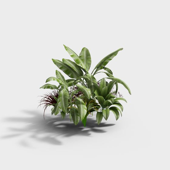 Pila di Piante Moderna