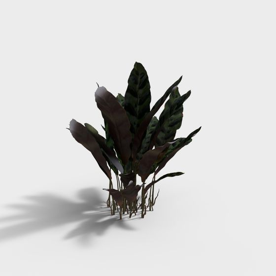 Tropical Plants 3D Model for Designers and Developers