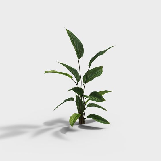 Tropical Style Plant 3D Model for Creative Projects