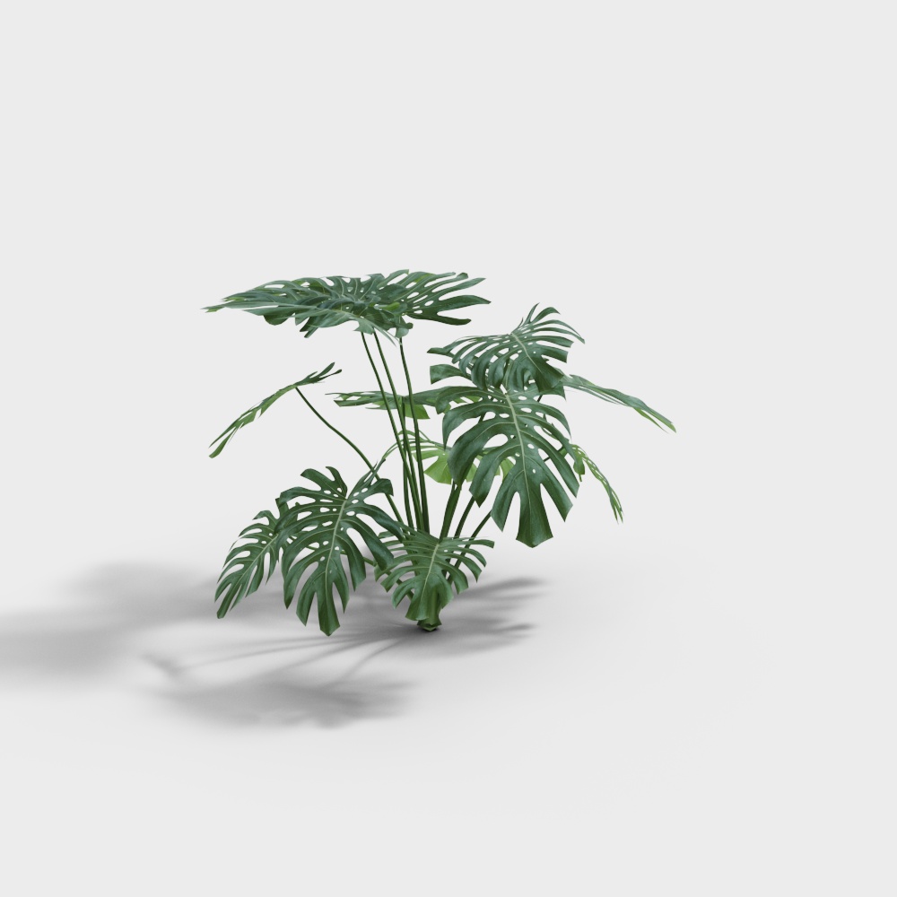 {"original":"Modern monstera","contrast":"Modern Monstera","target":"Monstera Moderna"}