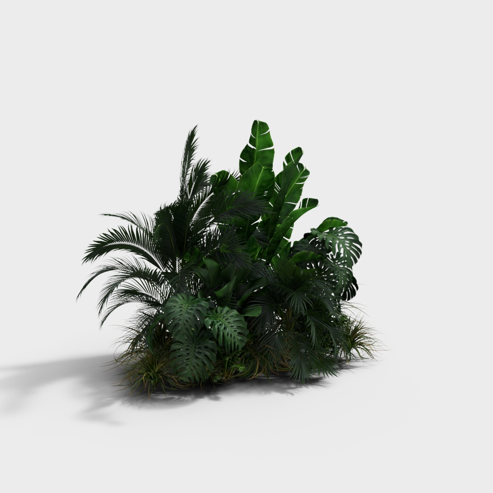 모던 식물 쌓기