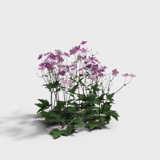 Dreamy Floral Cluster 3D model