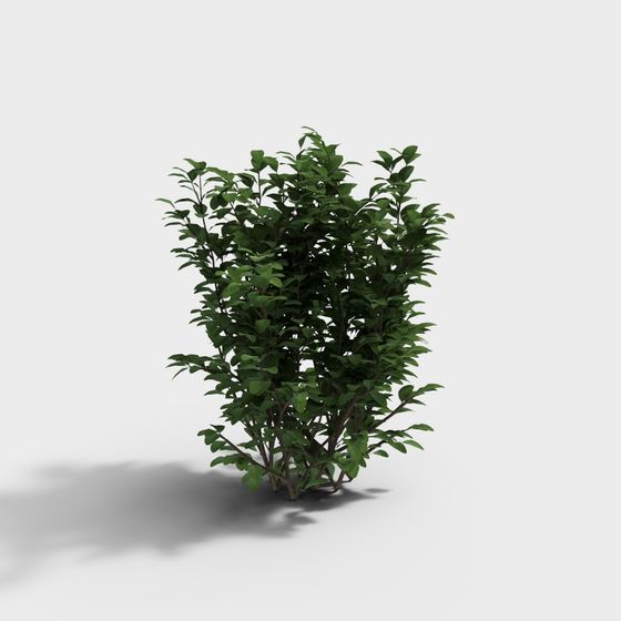 Stylish Shrub 3D Model for Creative Projects