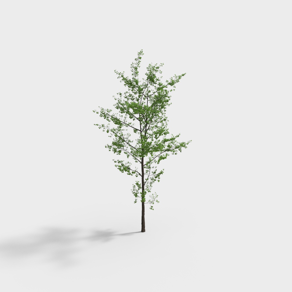 Modern tree