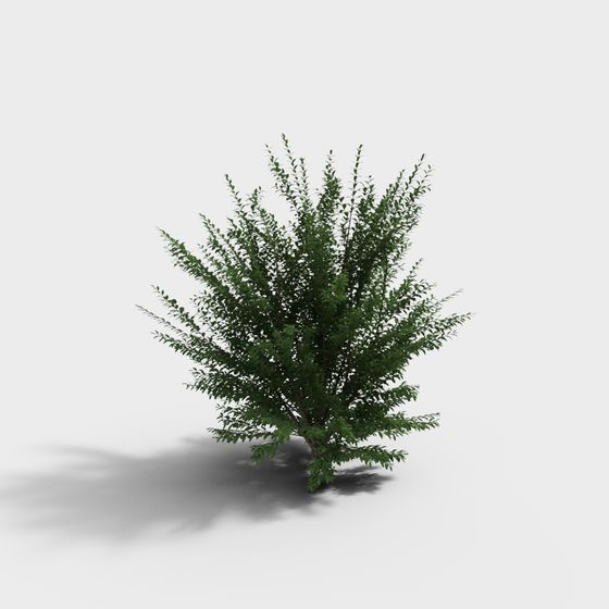 Lush Bush 3D Model for Creative Projects