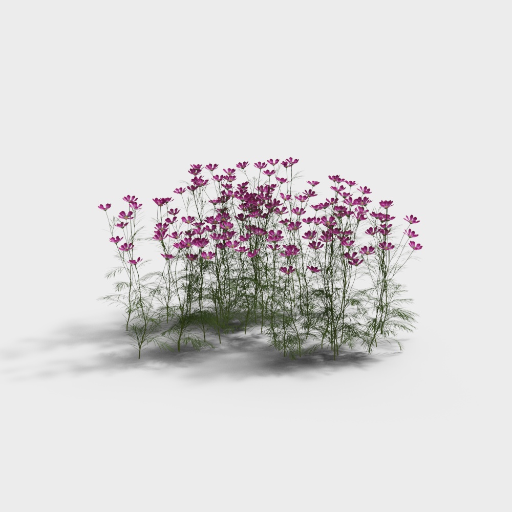 Modern Ornamental Grasses