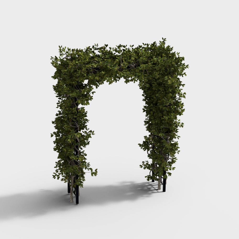 Modern Floral Archway