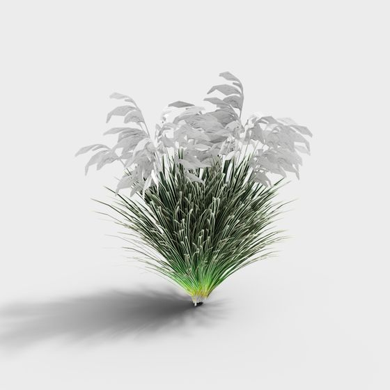 Lush Grass and White Leaf Plant 3D model