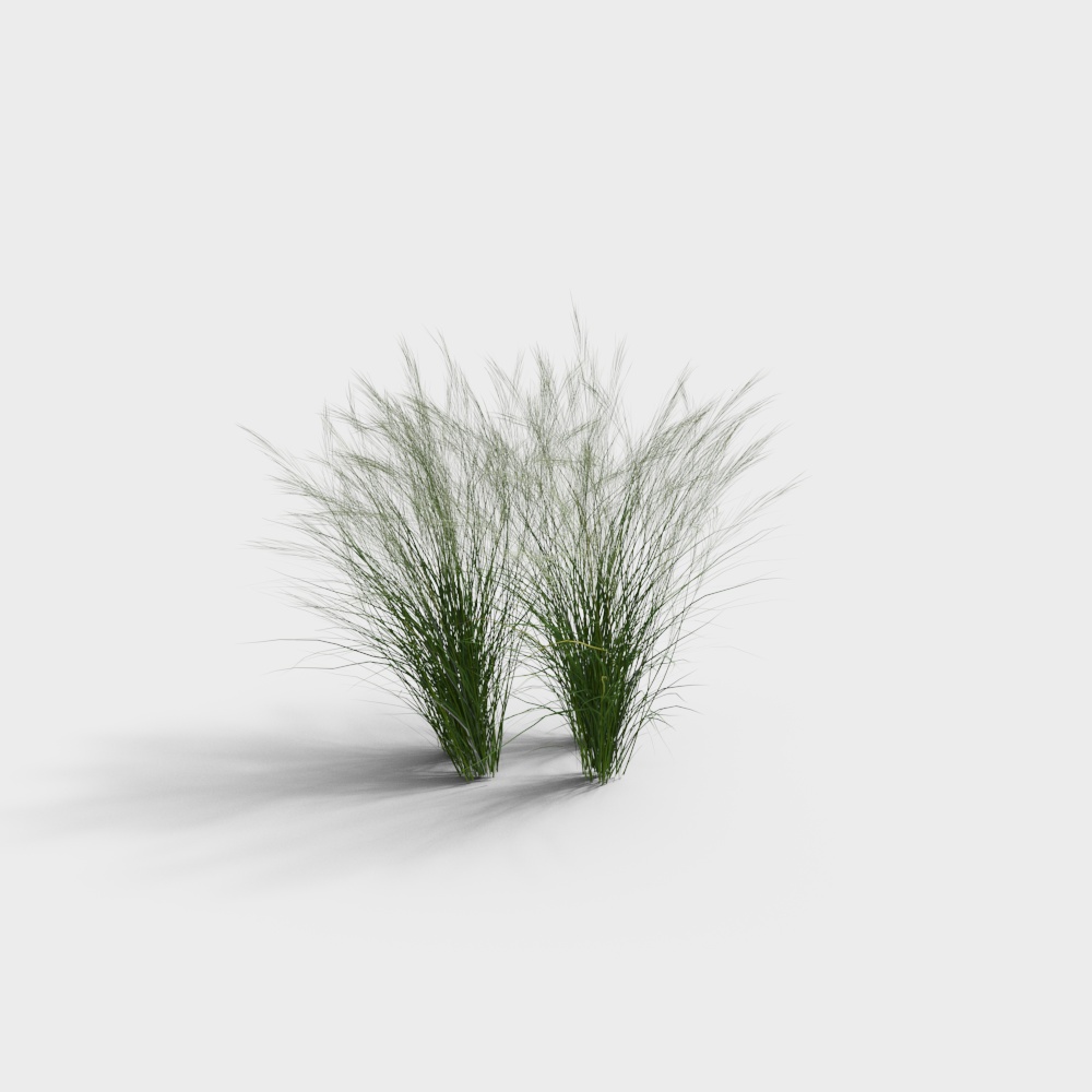 모던 장식용 풀