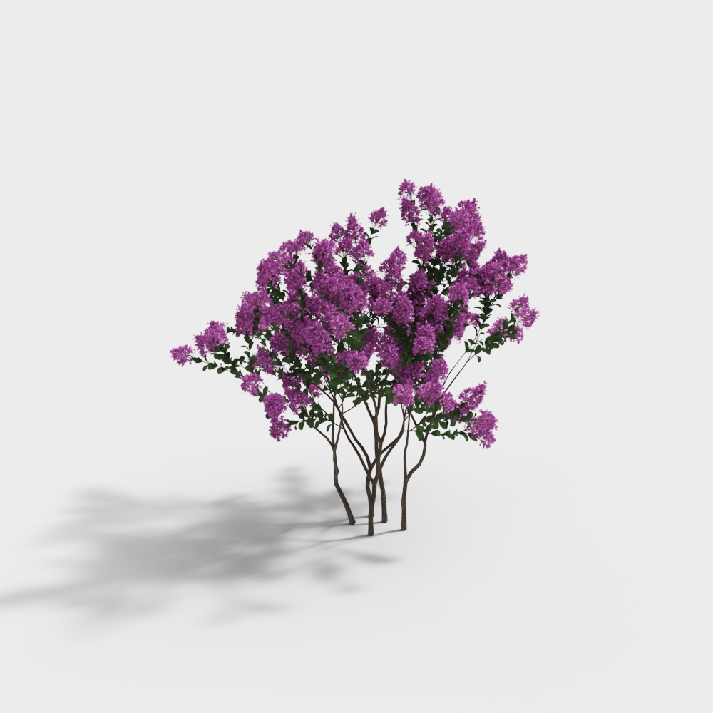 Modern Ornamental Grasses