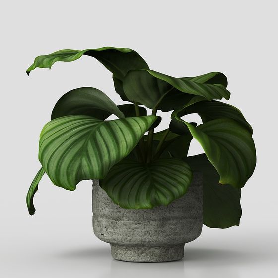 Concrete Planter Plant 3D model