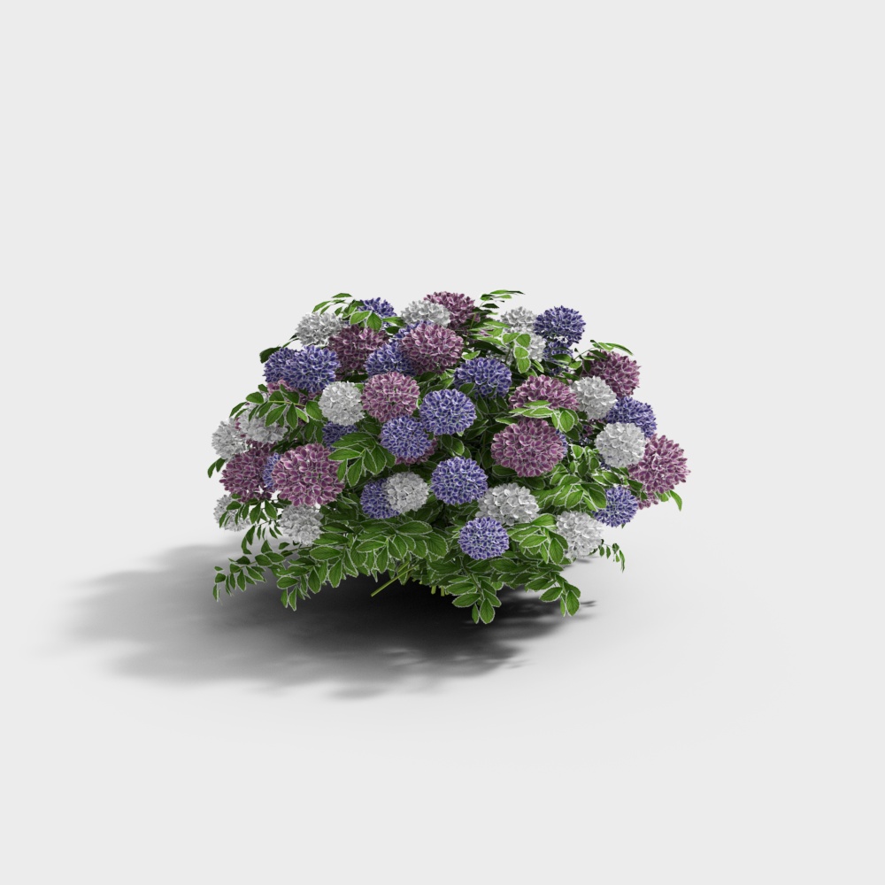 Hoa và cây hiện đại