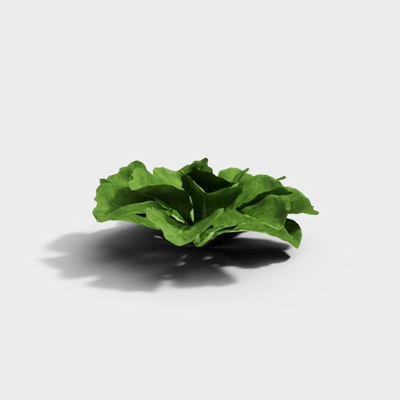 Vibrant Low-Poly Lettuce 3D model for Creative Projects