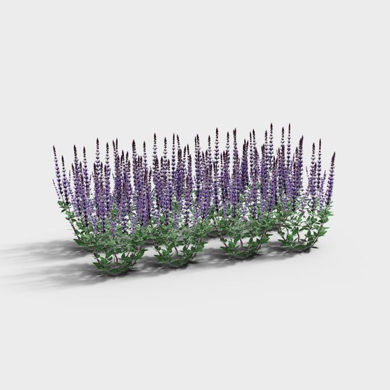 Realistic Low-Poly Lavender 3D Model
