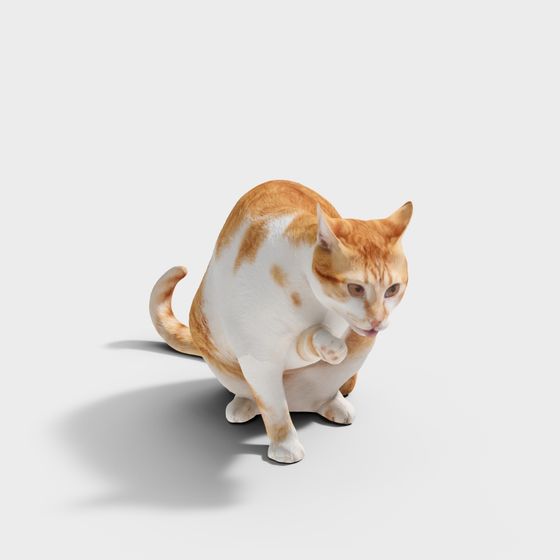 Fluffy the Cat 3D model