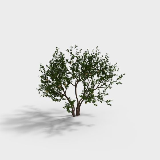 Lively Orange Tree 3D Model for Creative Projects