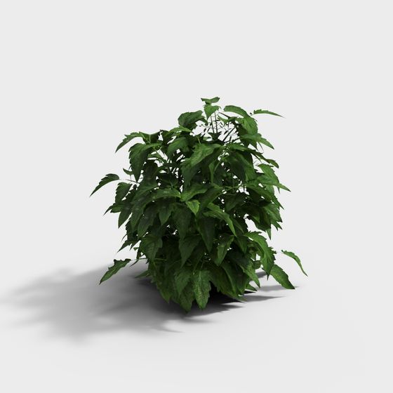 Heart of the Forest 3D model for Creative Projects