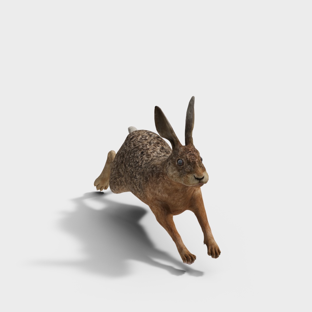 Realistic Running Hare 3D model