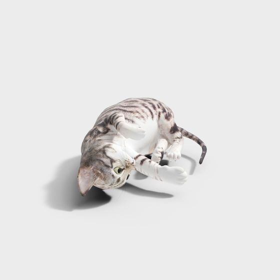 Rolling Cat 3D Model for Creative Projects