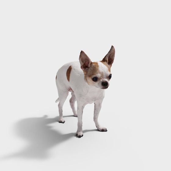 Charming Chihuahua 3D model - Chihuahua Cutie