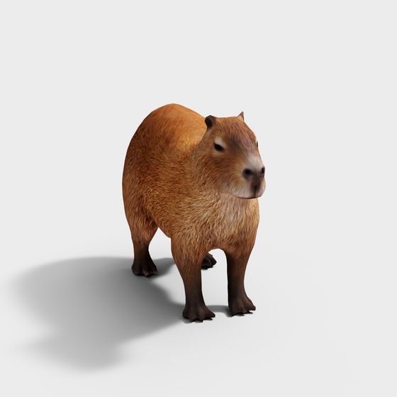 Realistic Capybara 3D model in Low Poly Design