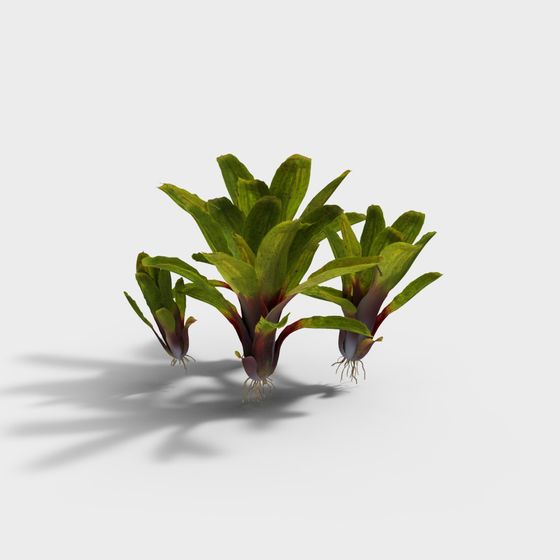 Ananas Moderno per Accumulo d'Acqua