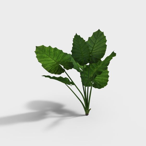 Tropical Rainforest Spirit 3D model for Vibrant Projects