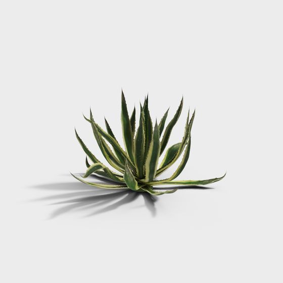 Stunning Agave 3D Model for Modern Applications
