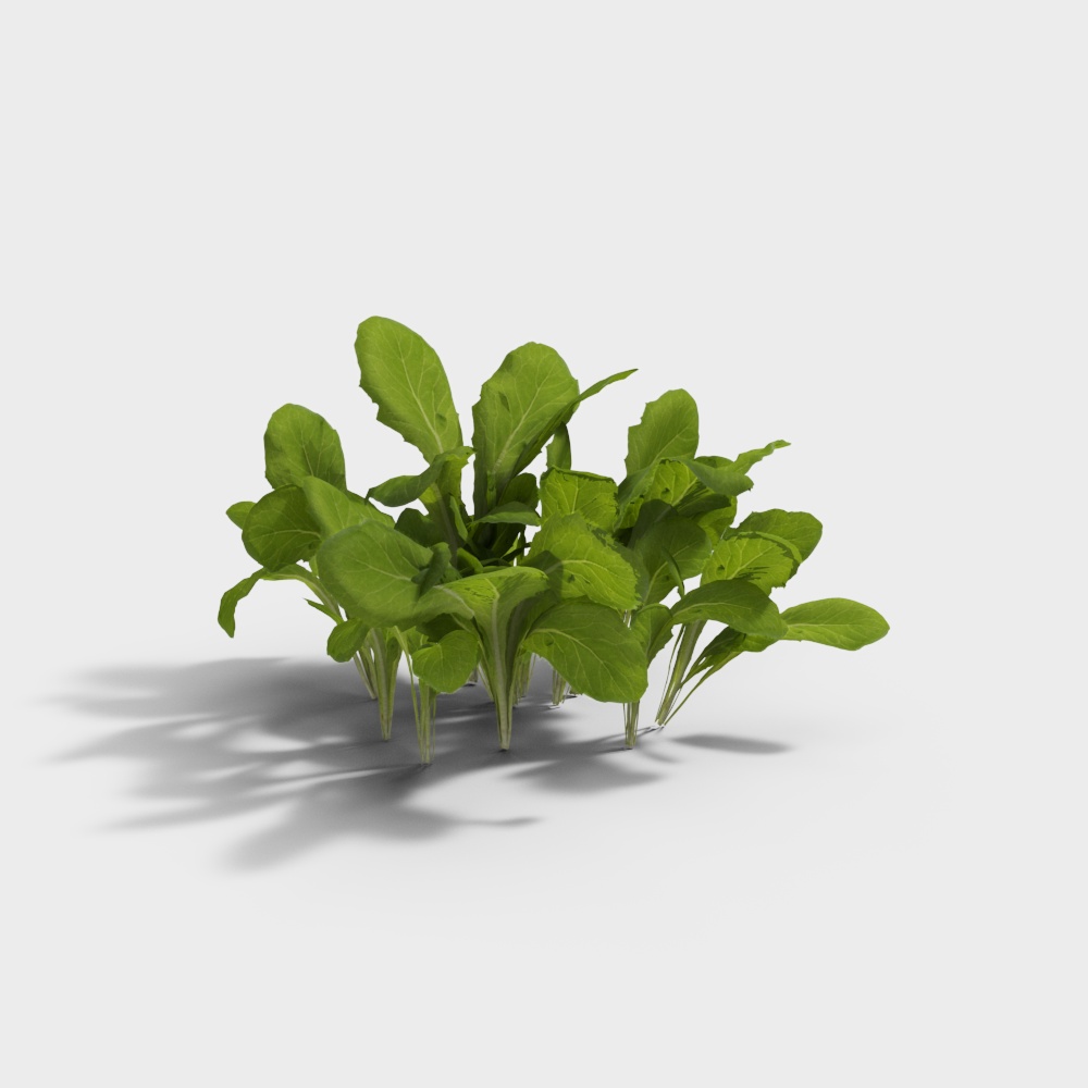 Vibrant Green Leaf Plant 3D Model