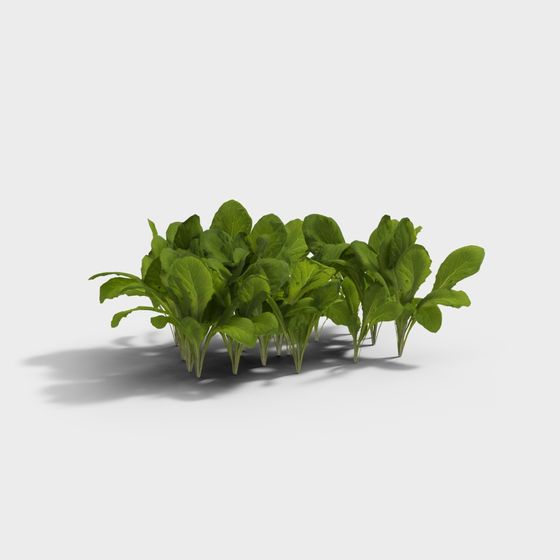 Vibrant Green Leaf Plant 3D model