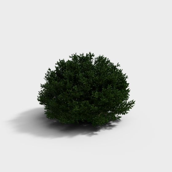 Vibrant Dome Shrub 3D model for Design Projects