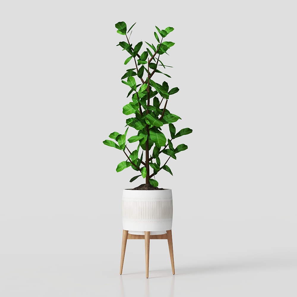 West Elm Planters