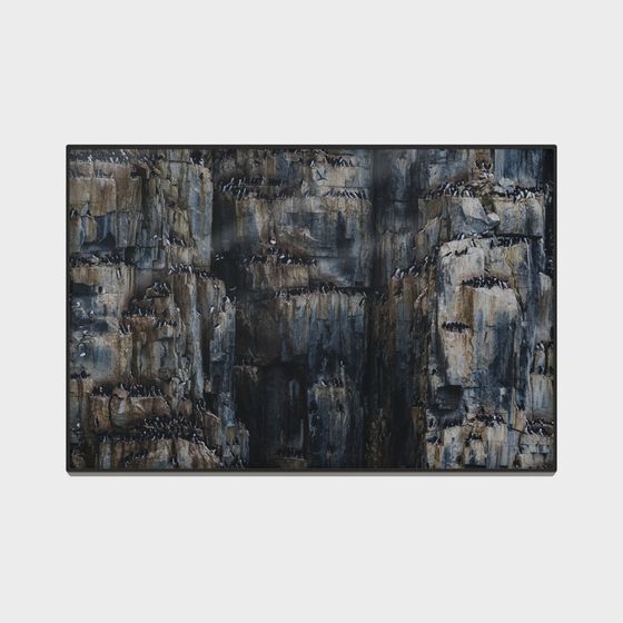 Realistic Cliff 3D Model for Nature-Inspired Designs