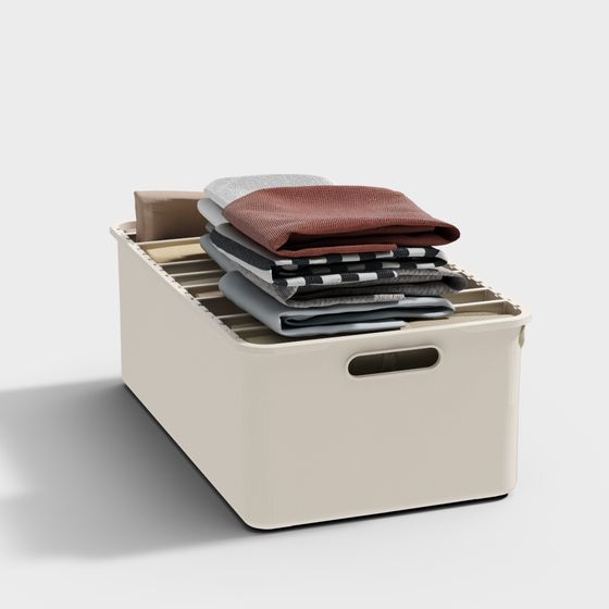 Organized Storage Box 3D model