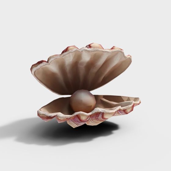 Mystical Pearl Shell 3D model