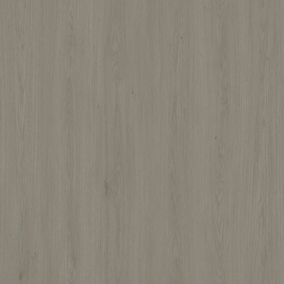 Spruce Wood Panel 3D Model in Beige