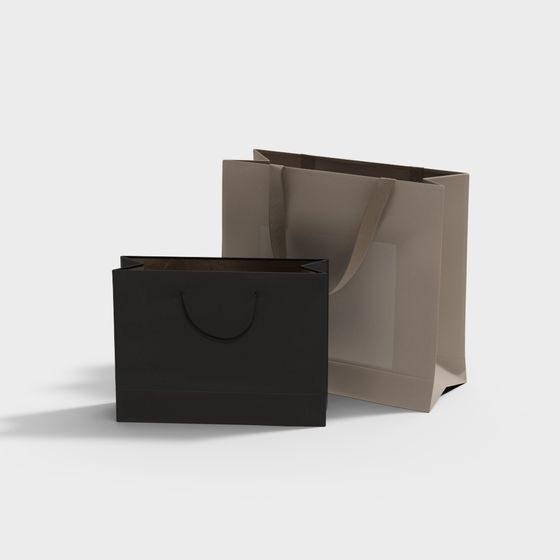 Elegant Minimalist Shopping Bag 3D Model