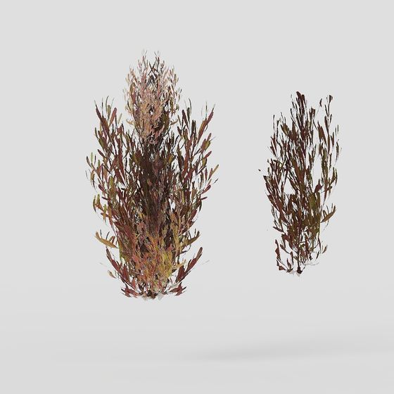 Forest Elf Low-Poly 3D Model