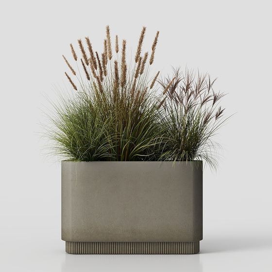Low-Poly Concrete Planter with Herb Plants 3D model